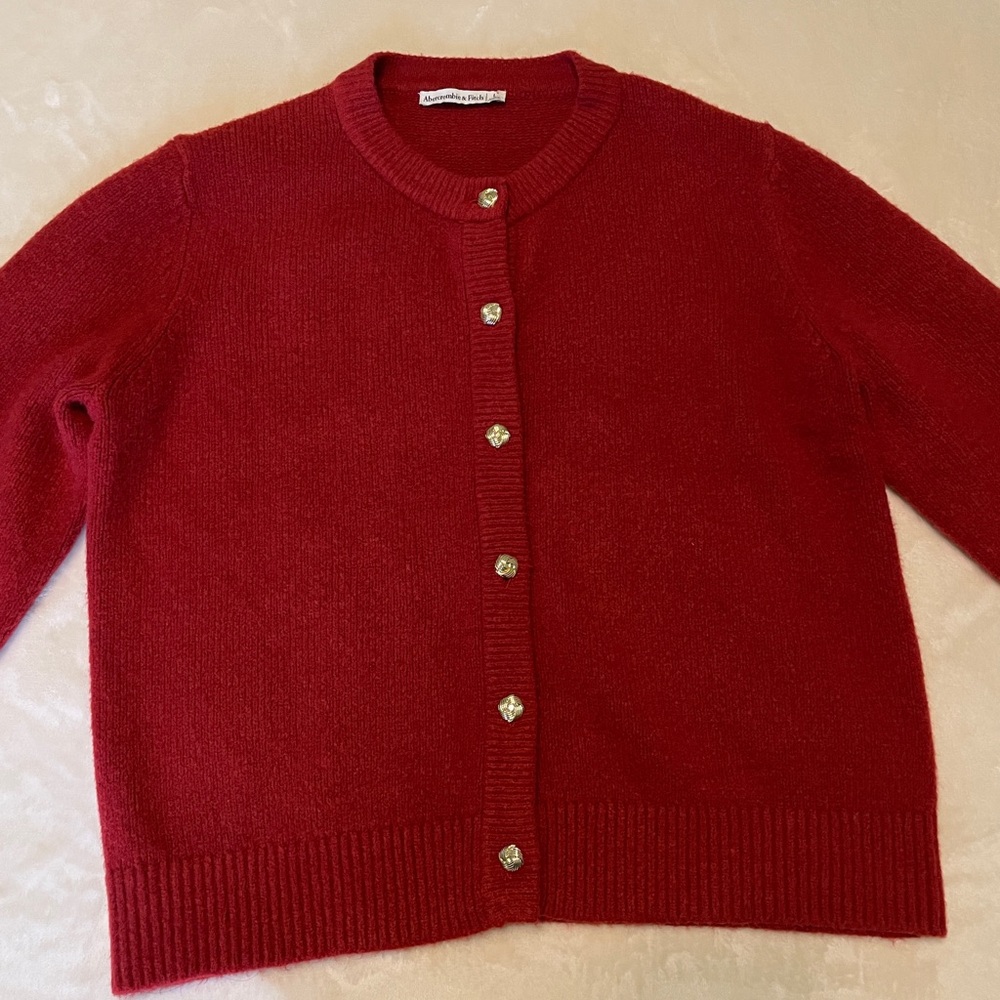 Abercrombie & Fitch Rust Red Cardigan Sweater Large - Picture 4 of 11